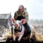 Pig rider