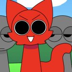 RED CAT