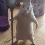 Mouse with chef hat and holding spoon