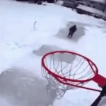 Slam Dunk GIF Template