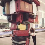 huge luggage