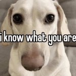 I know what you are