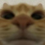 Tried to unlock your iphone