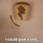 I don't give a shit