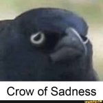 Crow of Sadness