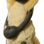 Lola (Shaun the sheep)