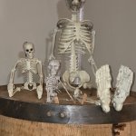 Waiting skeletons