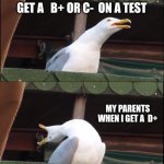 Inhaling Seagull | MY PARENTS WHEN I GET  AN  A+ ON A TEST; MY PARENTS WHEN I GET A   B+ OR C-  ON A TEST; MY PARENTS WHEN I GET A  D+; MY PARENTS WHEN I GET AN F ON A TEST | image tagged in memes,inhaling seagull | made w/ Imgflip meme maker