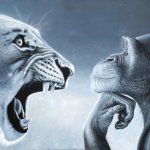 rage bait lion v monkey