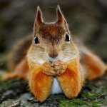 Tell me all about it