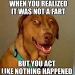 this is so relatable right? | WHEN YOU REALIZED IT WAS NOT A FART; BUT YOU ACT LIKE NOTHING HAPPENED | image tagged in dog on the zaza | made w/ Imgflip meme maker