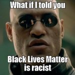 What if I told you Black Lives Matter is racist