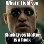 What if I told you Black Lives Matter is a hoax