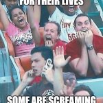 Hodling $PTB calmly