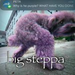 big steppa