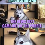 Bad Pun Dog | I FOUND OUT I’M COLORBLIND; THE NEWS JUST CAME OUT OF THE PURPLE | image tagged in memes,bad pun dog | made w/ Imgflip meme maker