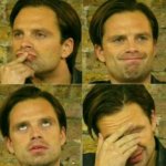 Sebastian Stan meme