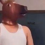 Horse Man Reaction Image