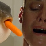 Alien x fish