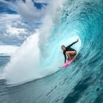 NOT AS MANY SHARKS I SUPPOSE