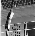 Hangman's Noose