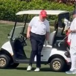 Trump Lowering Grocery Prices template