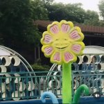 Sun flower