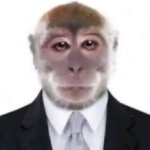 Monkey ID Photo