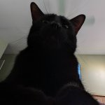 Where's breakfast?