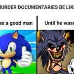 True | image tagged in murder documentary s be like | made w/ Imgflip meme maker