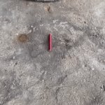 Hope You're All Having A Dynamite Holiday Weekend | image tagged in gifs,hope you're all having a dynamite holiday weekend | made w/ Imgflip video-to-gif maker