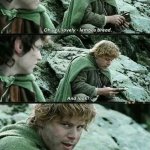 Perimenopausal LOTR | PERIMENOPAUSE SUPPLEMENTS | image tagged in more lembas bread,meme,lotr,perimenopause | made w/ Imgflip meme maker