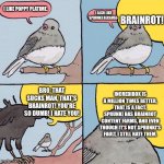 Me talking to the average Incredibox Fan | BRAINROT! I LIKE POPPY PLATIME. I ALSO LIKE SPRUNKI BECAUSE-; INCREDIBOX IS A MILLION TIMES BETTER, THAT IS A FACT. SPRUNKI HAS BRAINROT CONTENT FARMS, AND EVEN THOUGH IT'S NOT SPRUNKI'S FAULT, I STILL HATE THEM. BRO, THAT SUCKS MAN, THAT'S BRAINROT! YOU'RE SO DUMB! I HATE YOU! | image tagged in interrupting bird | made w/ Imgflip meme maker