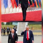 Putin red carpet template