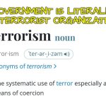 The government is a terrorist organisation