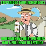 Pepperidge Farm Remembers | PEPPERIDGE FARM REMEMBERS; WHEN MEN IN THEIR TWENTIES HAD A FULL HEAD OF LETTUCE | image tagged in memes,pepperidge farm remembers | made w/ Imgflip meme maker