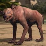 Guild Wars 2 Murrelow