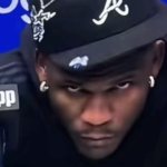 ant stare