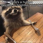 In case you’re feeling down ;) | Here’s a hungry raccoon to brighten your day | image tagged in hungry racoon,memes,funny,cheer up,cute,racoon | made w/ Imgflip meme maker