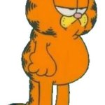 Garfield cat