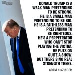 Adam Kinzinger on Trump Resistance