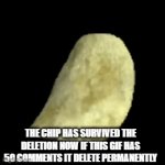 CHIP RETURN | THE CHIP HAS SURVIVED THE DELETION NOW IF THIS GIF HAS 50 COMMENTS IT DELETE PERMANENTLY | image tagged in gifs,idk | made w/ Imgflip video-to-gif maker
