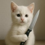 white kitty with a knife