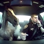 Horse smoking