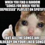 im fine.... | WHEN YOU FIND A RANDOM "SONGS FOR WHEN YOU'RE DEPRESSED" PLAYLIST ON SPOTIFY; BUT ALL THE SONGS ARE ALREADY ON YOUR LIKED SONGS | image tagged in sad thumbs up cat,depression,songs,sad songs,tags | made w/ Imgflip meme maker