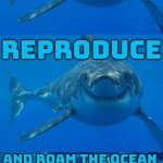 To Hunt; Reproduce; And Roam The Ocean | TO HUNT; REPRODUCE; AND ROAM THE OCEAN; IN ONE OF THE LONGEST LIFESPANS
IN THE ANIMAL KINGDOM | image tagged in bad shark pun,great white shark,sex,nature,evolution,ocean | made w/ Imgflip meme maker