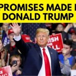 trump meme