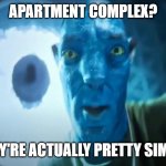 Staring Avatar Guy | APARTMENT COMPLEX? THEY'RE ACTUALLY PRETTY SIMPLE | image tagged in staring avatar guy | made w/ Imgflip meme maker