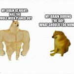 you forget everything in the morning | MY BRAIN AT NIGHT: 
HAS THE WHOLE WEEK PLANED OUT; MY BRAIN DURING THE DAY:
WHAT SHOULD I DO NOW?! | image tagged in strong dog vs weak dog | made w/ Imgflip meme maker