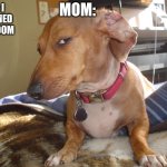 did you though??????? | MOM:; ME: I CLEANED MY ROOM | image tagged in suspicious dog | made w/ Imgflip meme maker